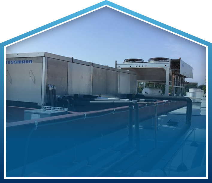 Patel Brother's Grocery Store